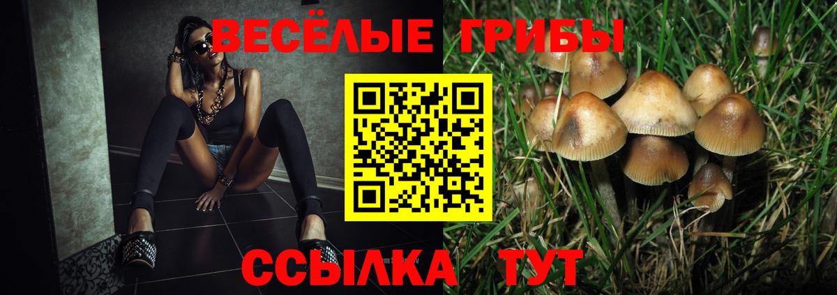 Галлюциногенные грибы мухоморы  дарнет шоп  Котовск  Вход с VPN 